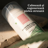 Balsam Corp & Mâini Incredible Canna
