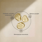 Tratament intensiv pentru cearcăne, riduri și pungi +🎁 Cadou Mască de răcire